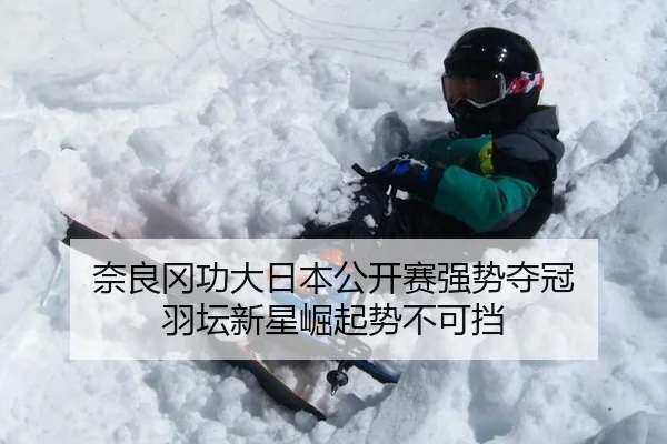 奈良冈功大日本公开赛强势夺冠 羽坛新星崛起势不可挡