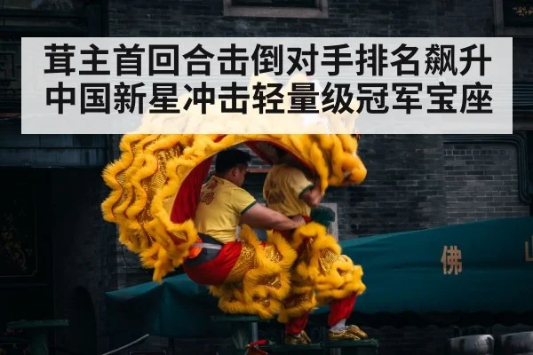 Chinese martial arts