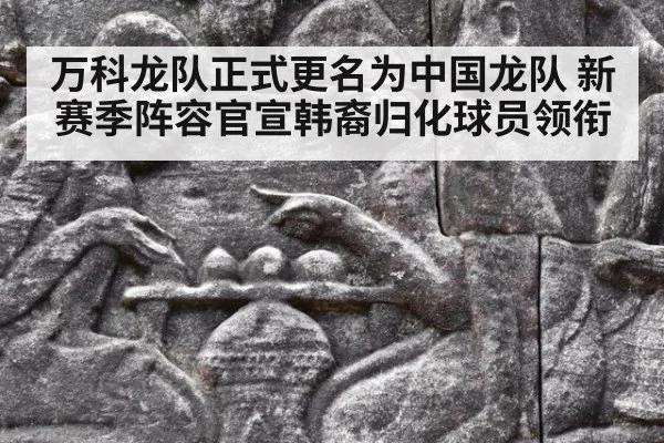 万科龙队正式更名为中国龙队 新赛季阵容官宣韩裔归化球员领衔